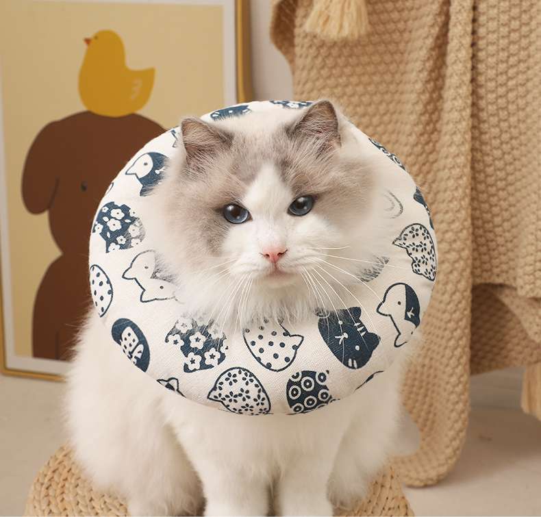 猫服 猫 エリザベスカラー | ふわもこお花型エリザベスカラー