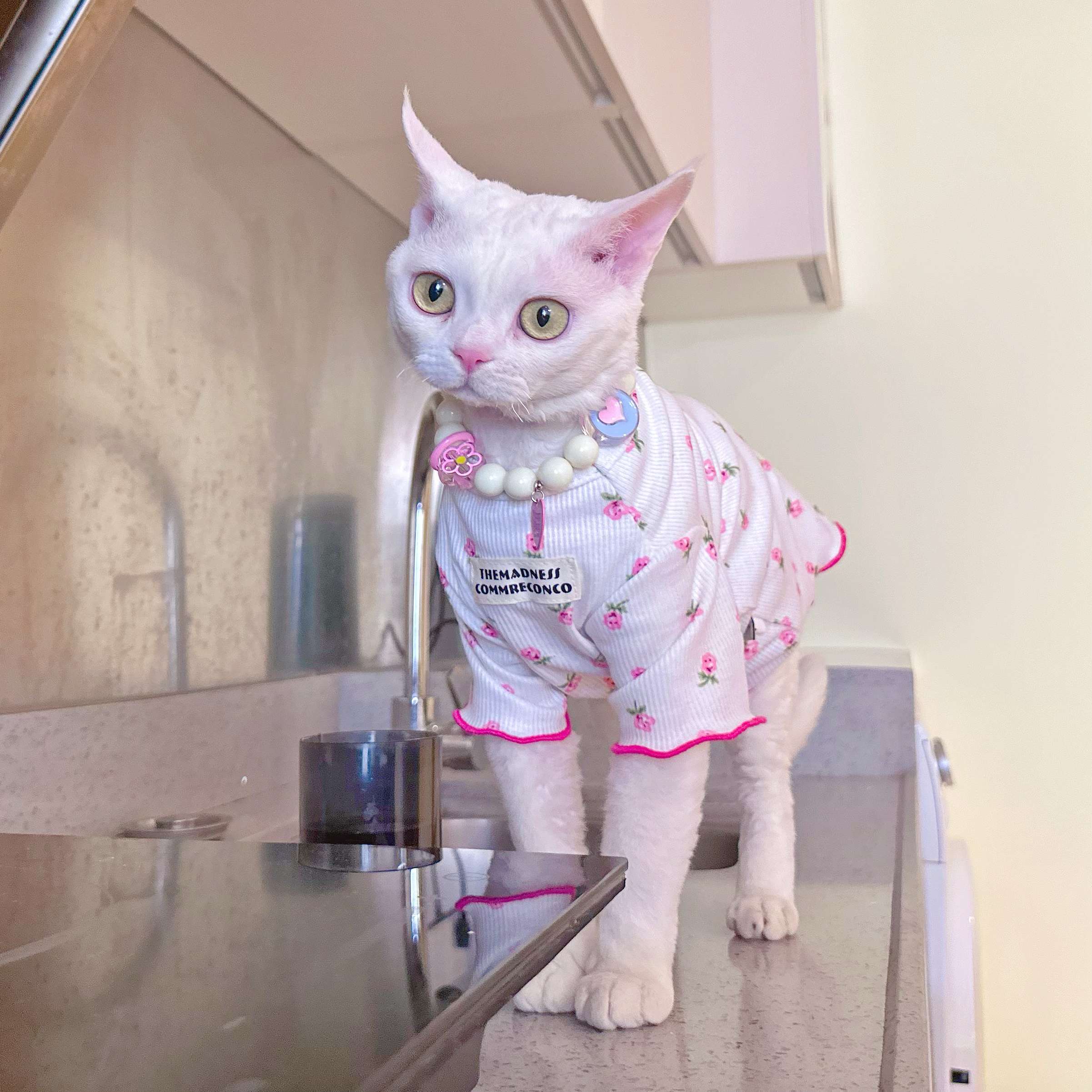 猫服  洋服 | 小花柄キャットパジャマ