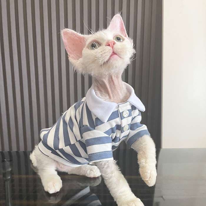 猫服  洋服 | スタイリッシュ マリン ポロシャツ