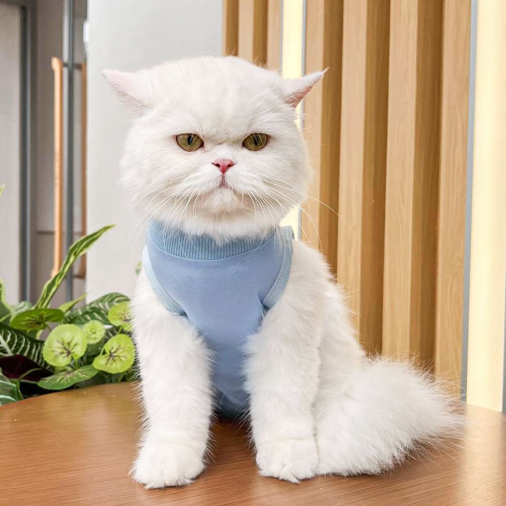 猫服  術後服 | 猫用カラフル術後服 快適ケアウェア