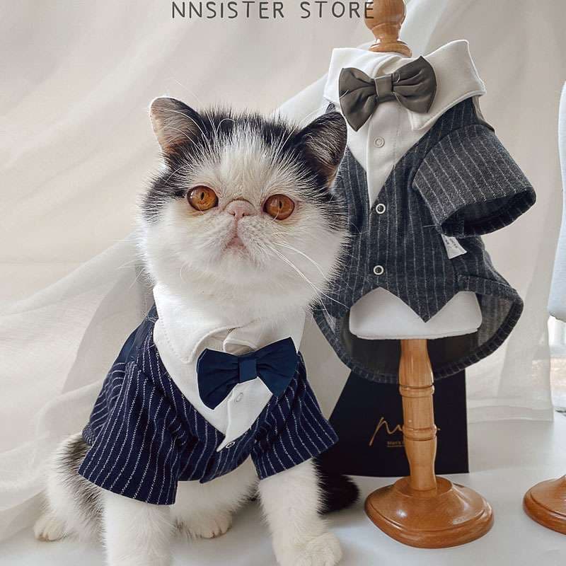 猫服  コスプレ | ネコちゃんのタキシード風ウェディング衣装