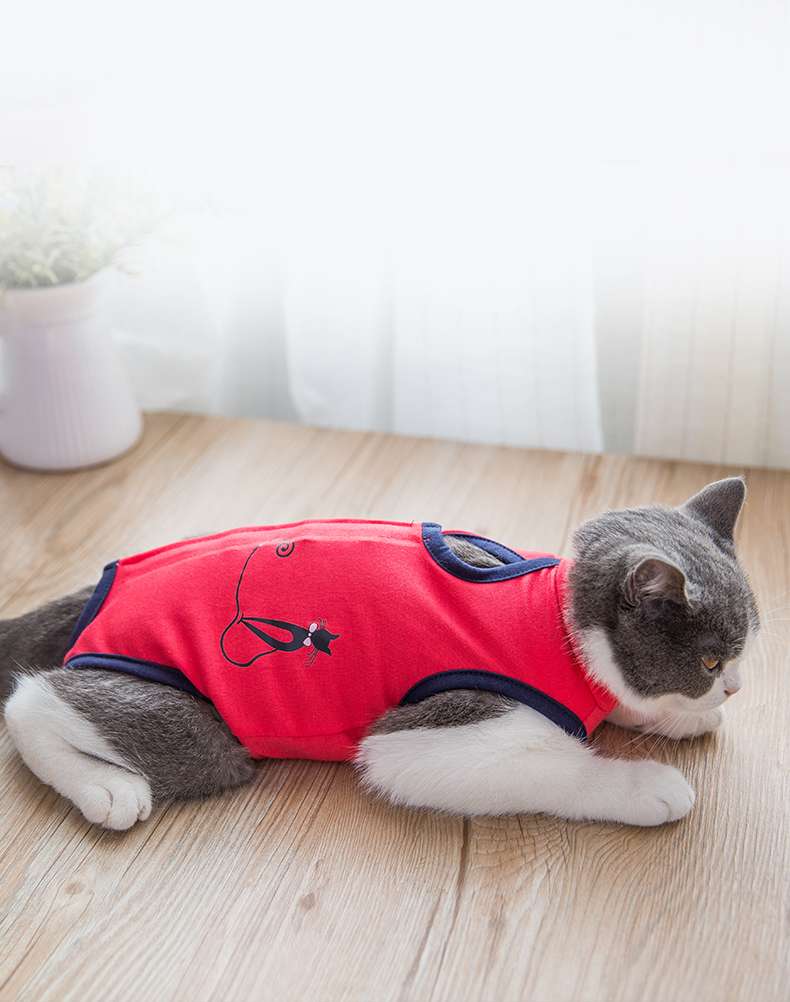 猫服  術後服 | 猫用術後服 ストレッチ素材の回復着