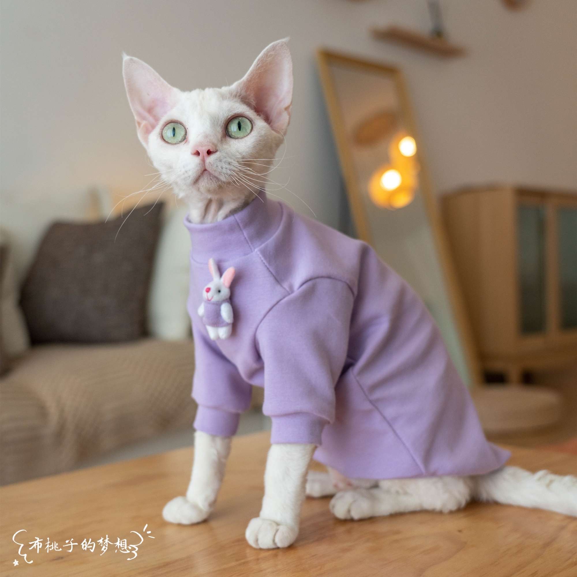猫服  防寒服 | もこもこウサギの夢パーカー