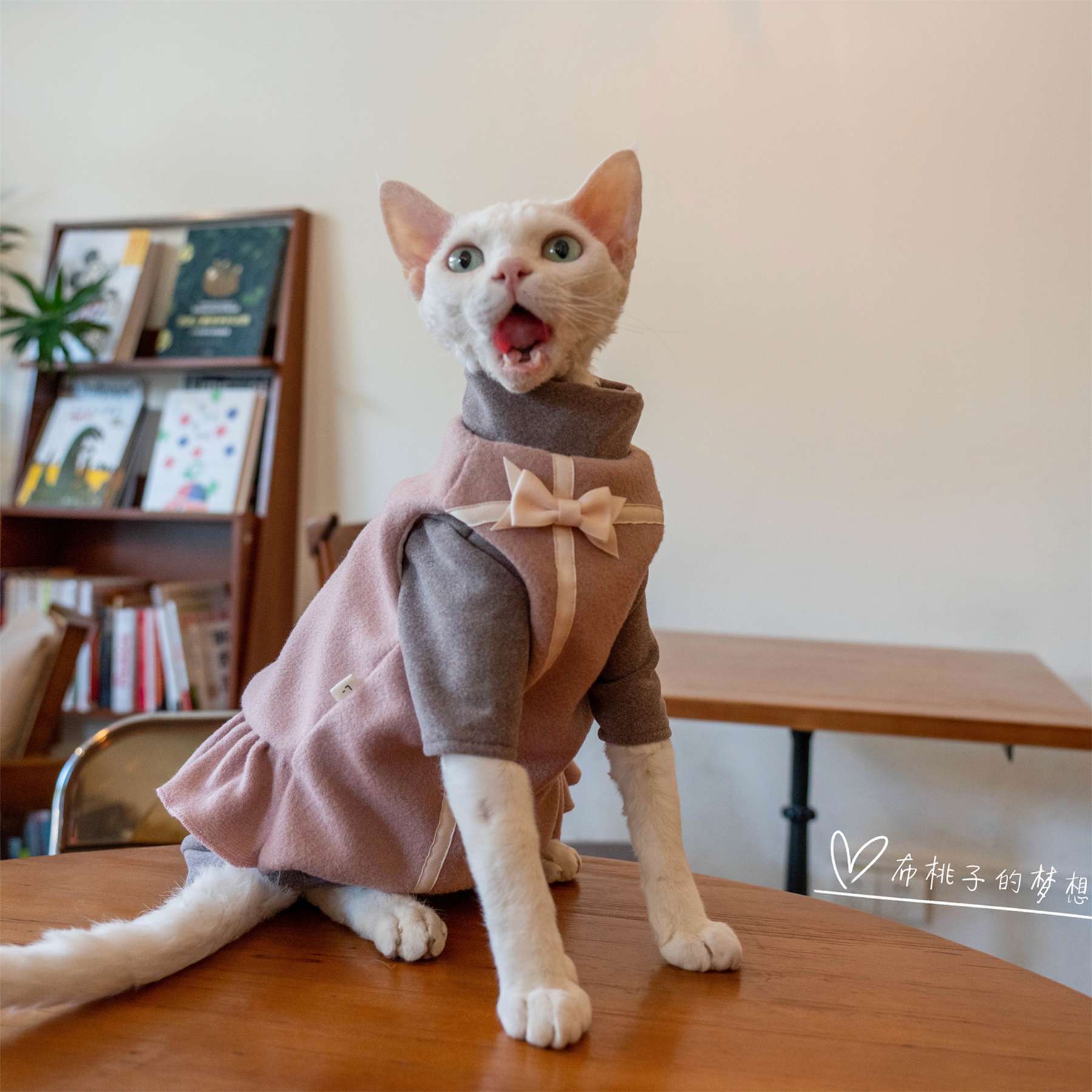 猫服  洋服 | ふわもこ猫ちゃんドレスコート