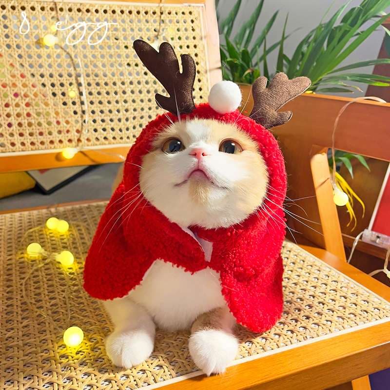 猫服  コスプレ | ペット用ホリデーコスチューム3点セット