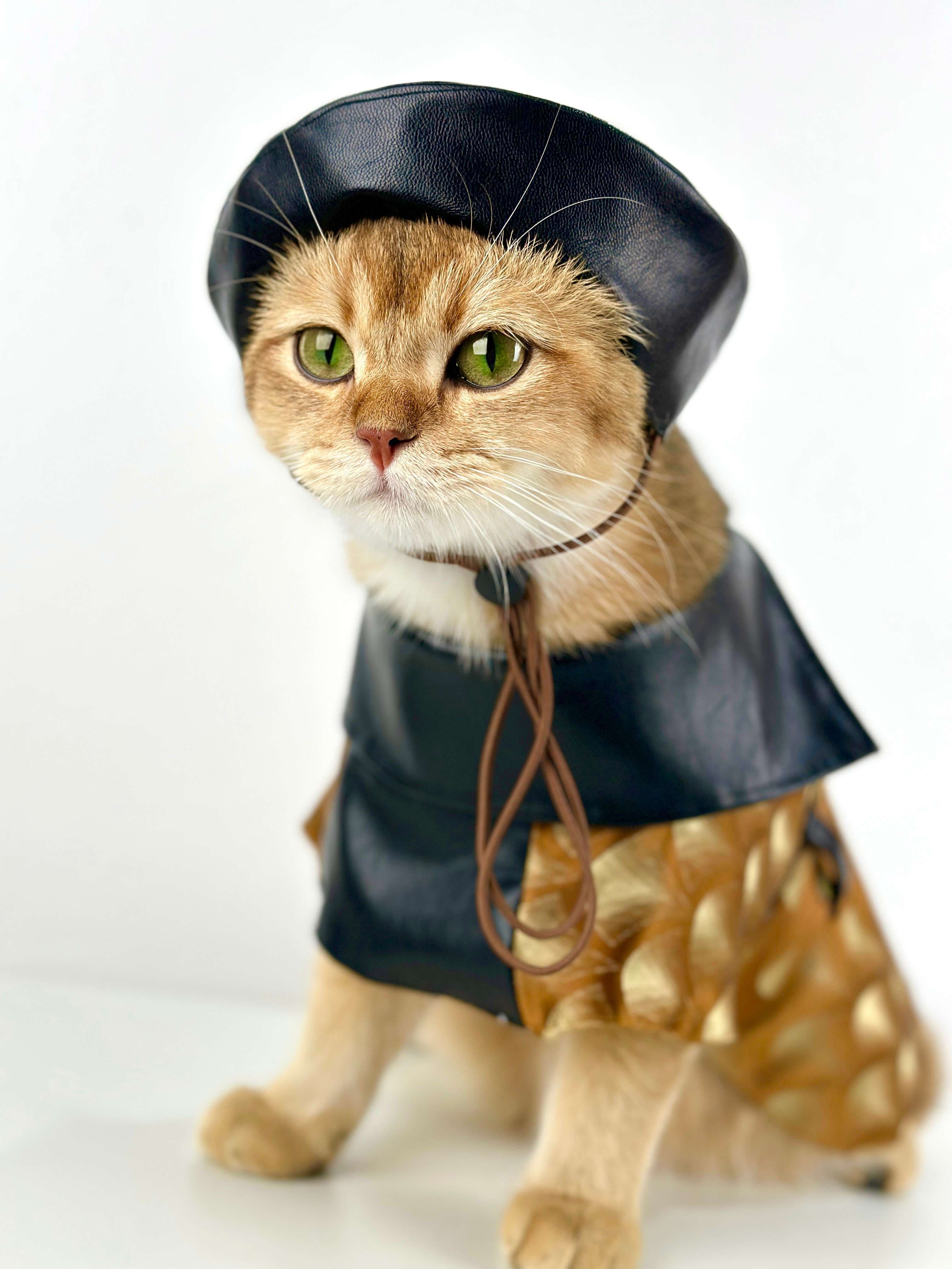 猫服  コスプレ | 猫用シャーロック・ホームズ風探偵コート