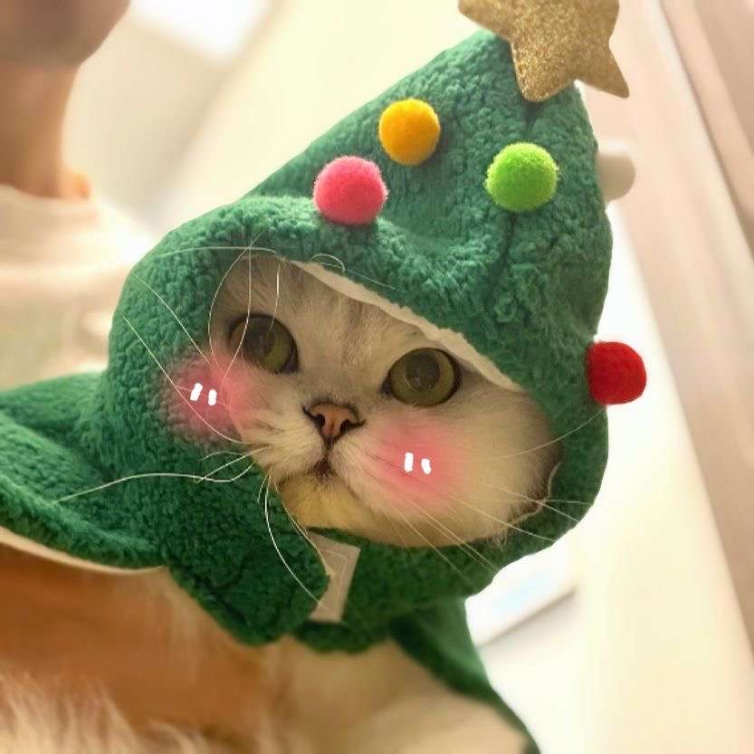 猫服  コスプレ | クリスマスツリー風キャットコスチューム