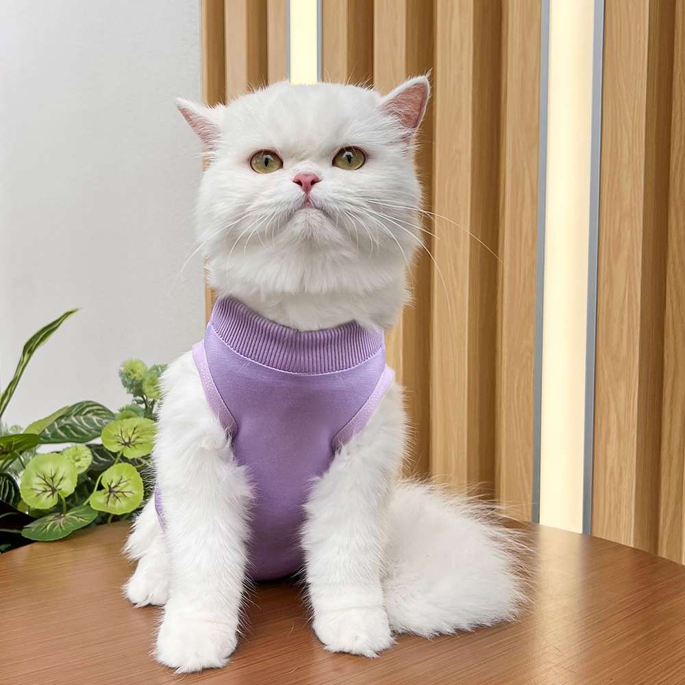 猫服  術後服 | 猫用カラフル術後服 快適ケアウェア