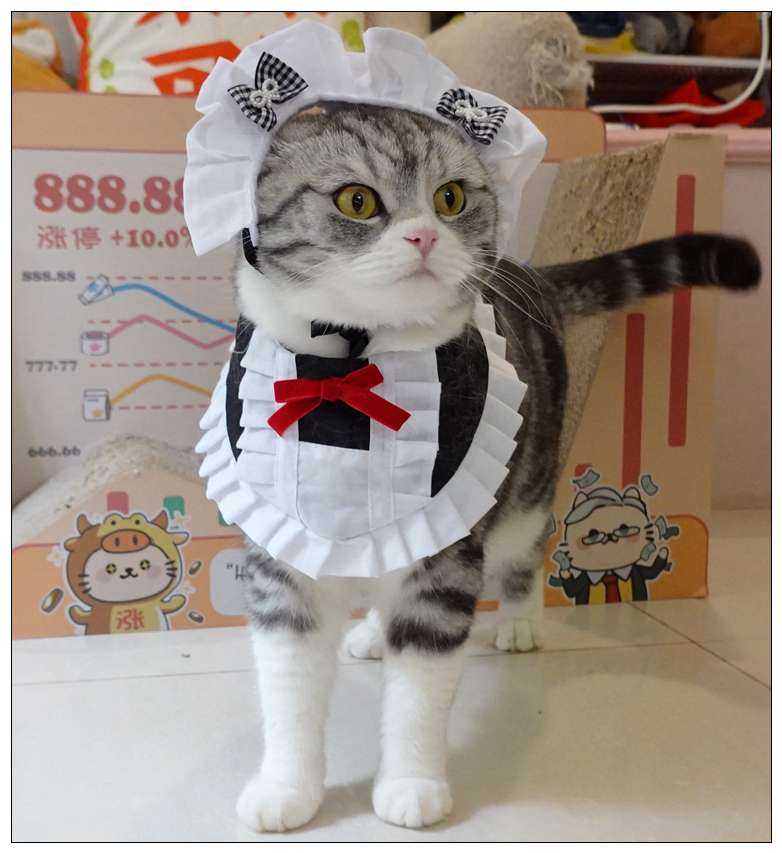 猫服  コスプレ | メイド風フリルエプロン猫用コスチューム
