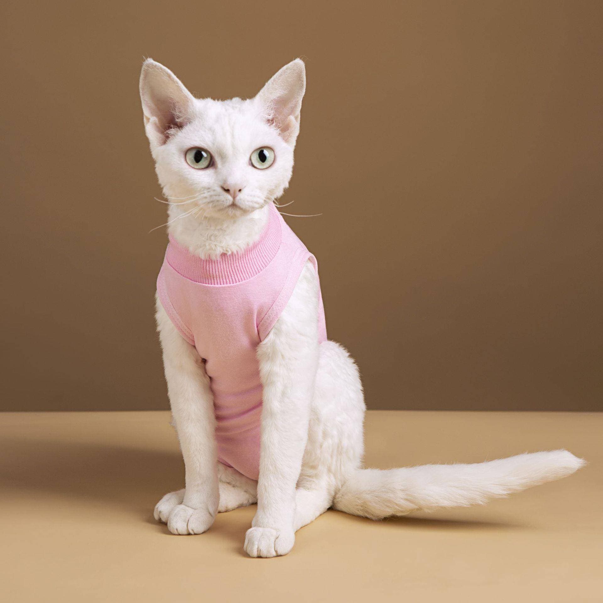 猫服  洋服 | やわらか着心地のタートルネック