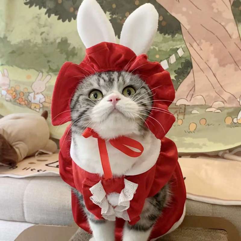 猫服  コスプレ | メイド風フリルドレス猫用コスチューム