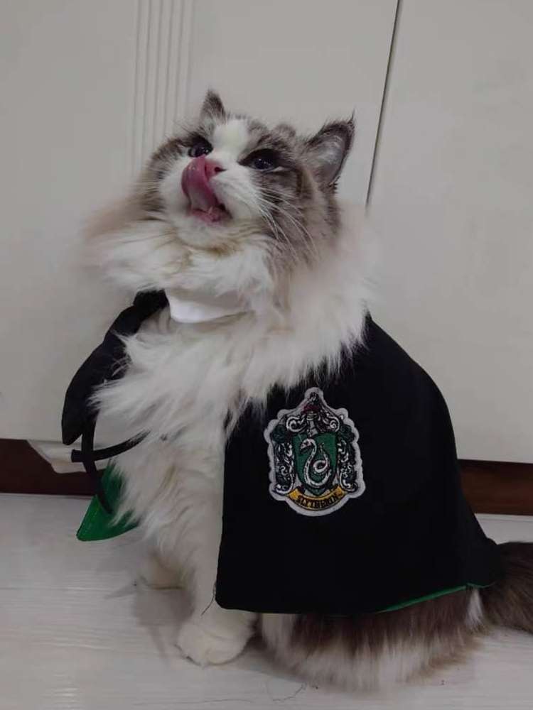 猫服  コスプレ | 魔法学校風 猫用ローブ
