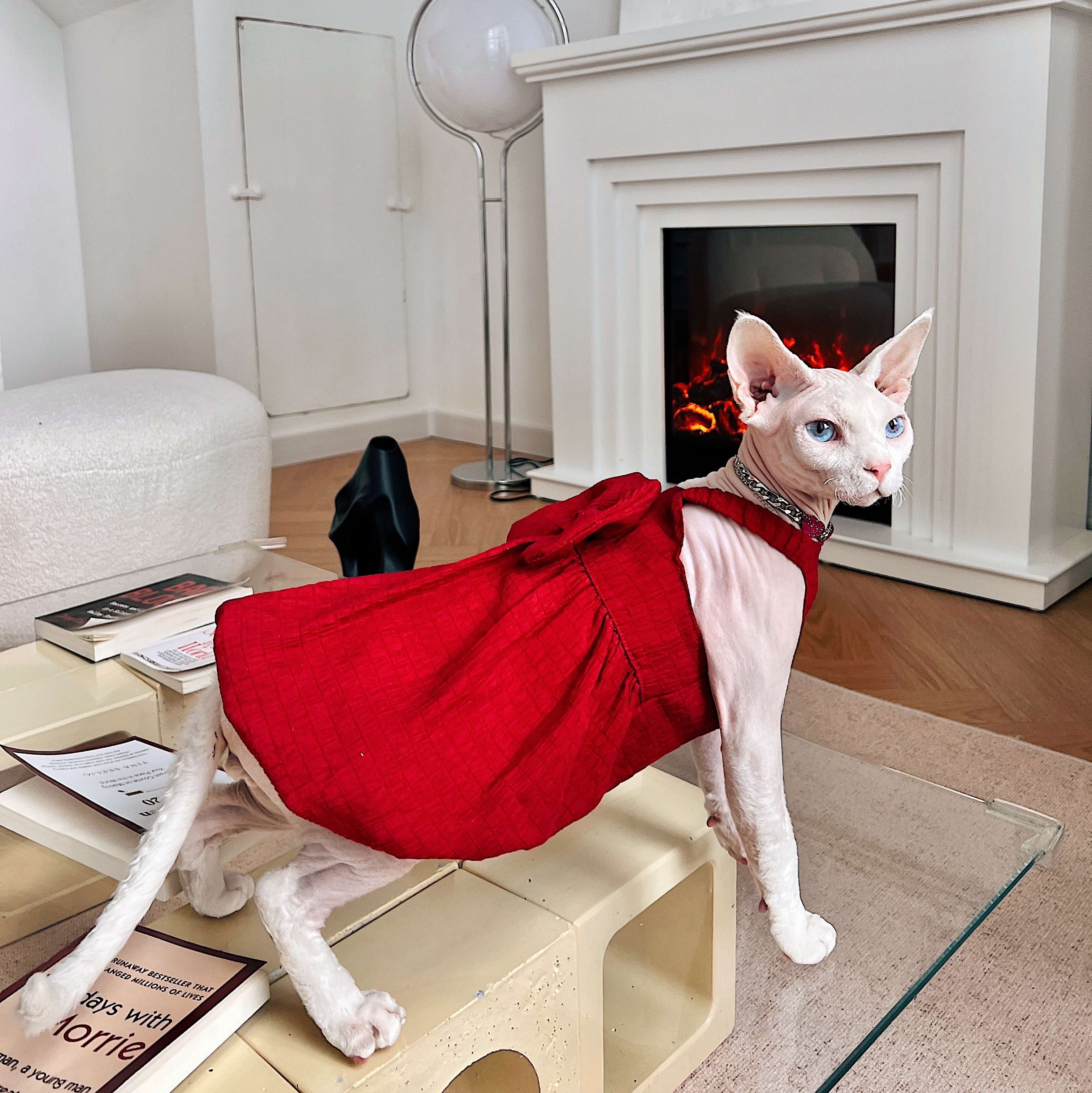 猫服  スフィンクス | スフィンクスの優雅な赤いドレス