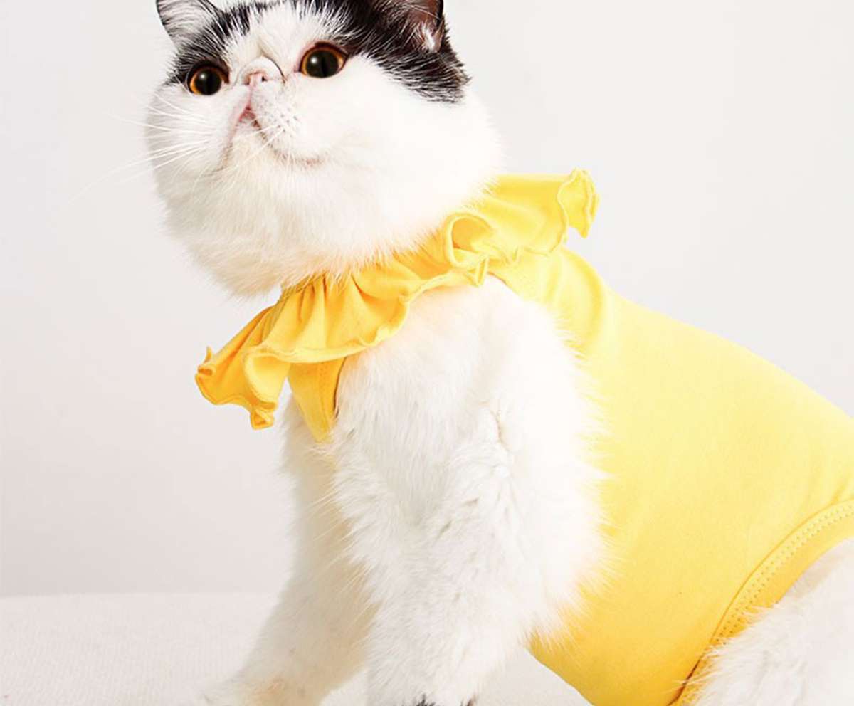 猫服  術後服 | ふんわりフリル付き猫用術後服
