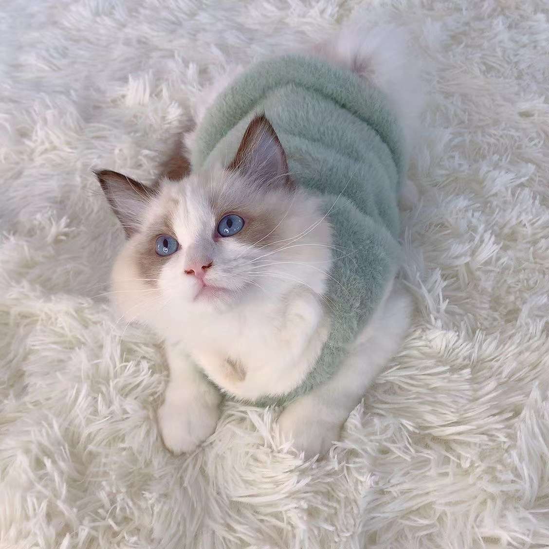 猫服  防寒服 | モフモフ天使のおくるみワンピース