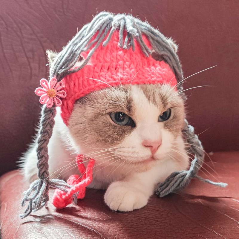 猫服  帽子 | ねこちゃんの三つ編みニット帽