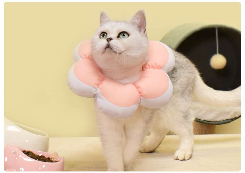 猫服 猫 エリザベスカラー | ふわふわお花型エリザベスカラー