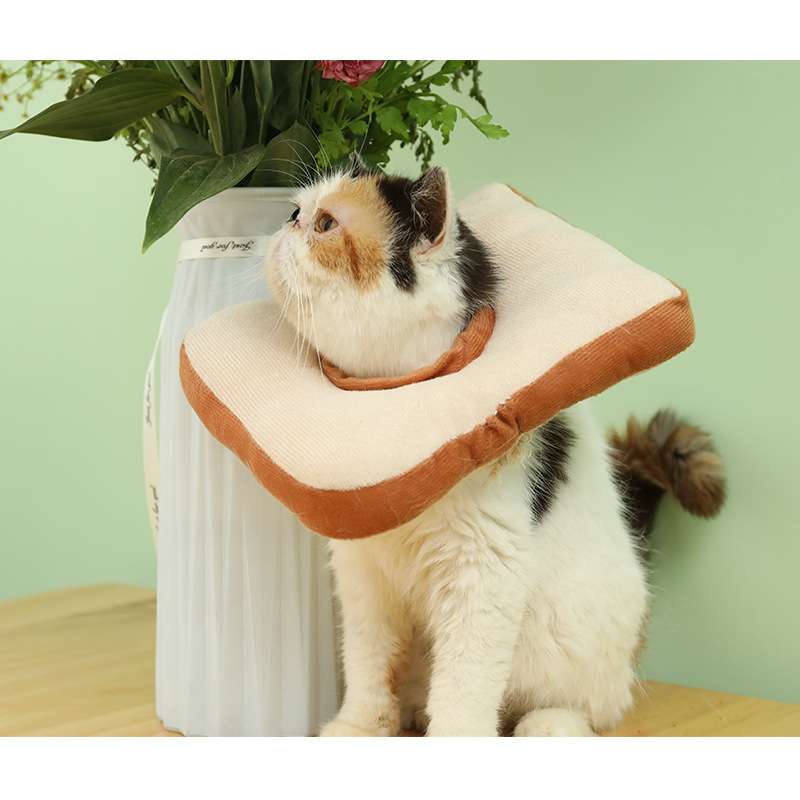 猫服 猫 エリザベスカラー | トースト風ペット用変身帽