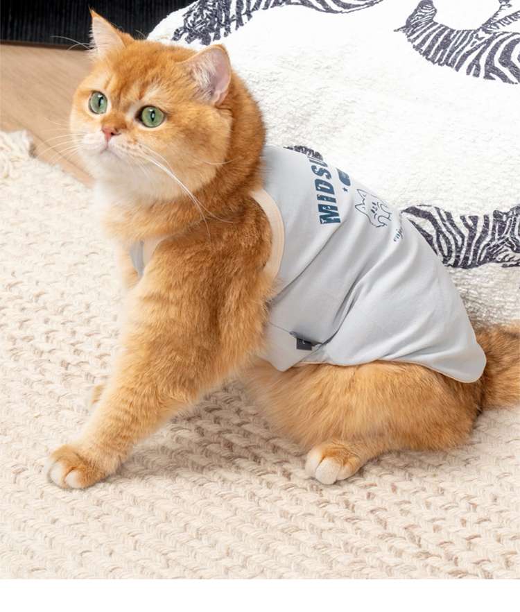 猫服  洋服 | ふわもこ猫ちゃん用ベストキャミソール