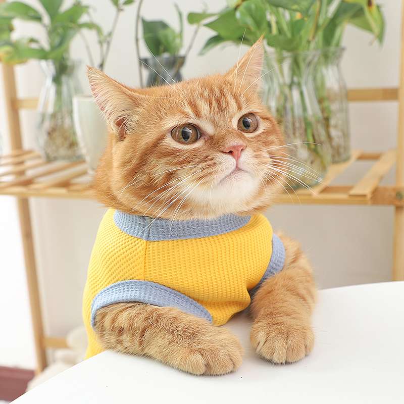 猫服  防寒服 | もこもこペット用ニットウェア