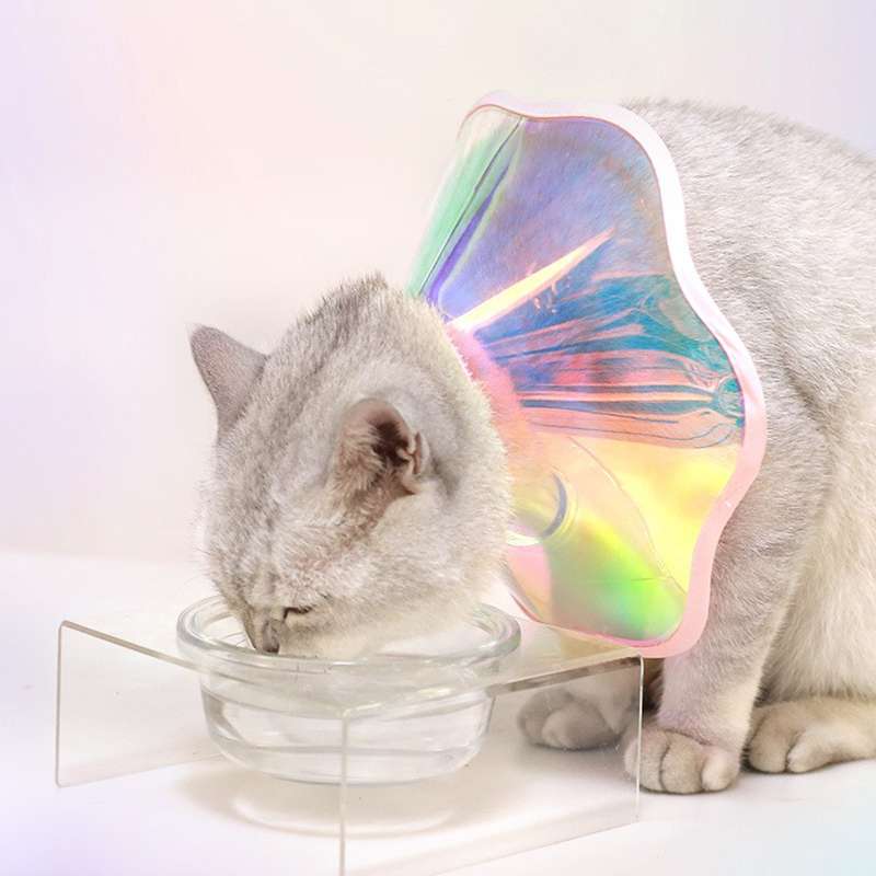 猫服 猫 エリザベスカラー | キラキラ虹色ペットの宇宙エリザベスカラー