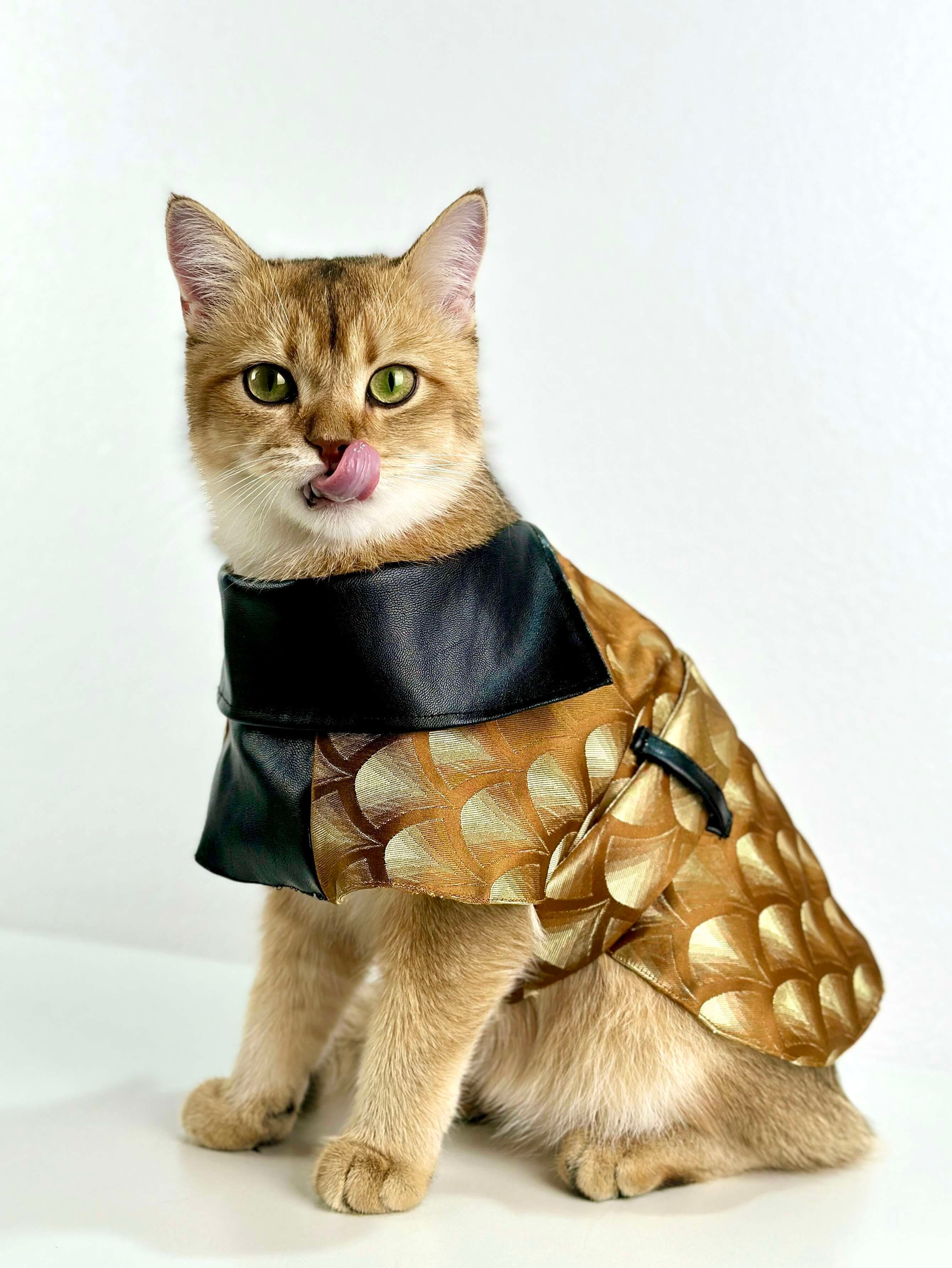 猫服  コスプレ | 猫用シャーロック・ホームズ風探偵コート