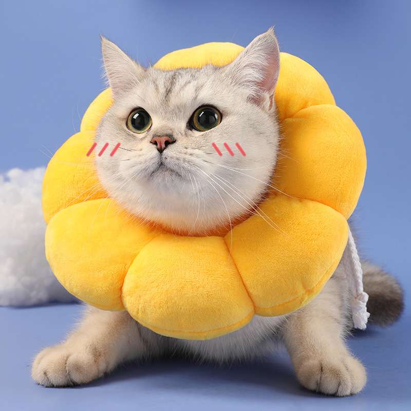 猫服 猫 エリザベスカラー | ふわふわお花型エリザベスカラー