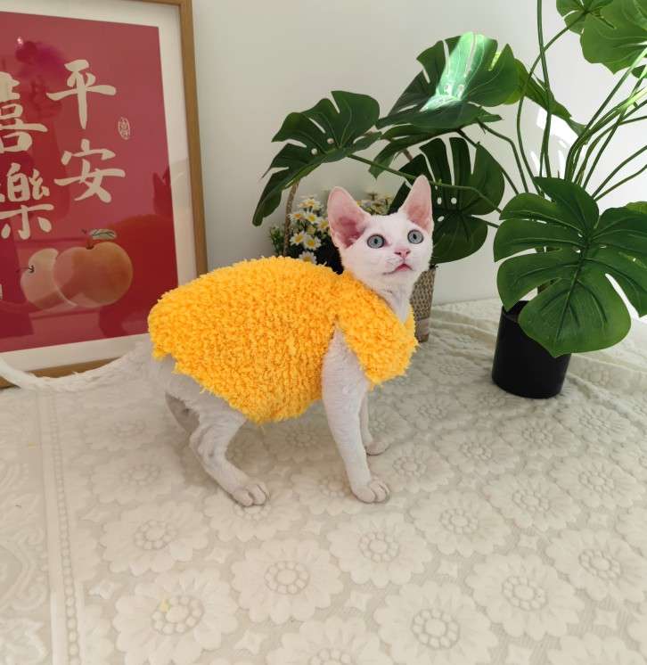 猫服  スフィンクス | モコモコあったかスフィンクスキャットウェア