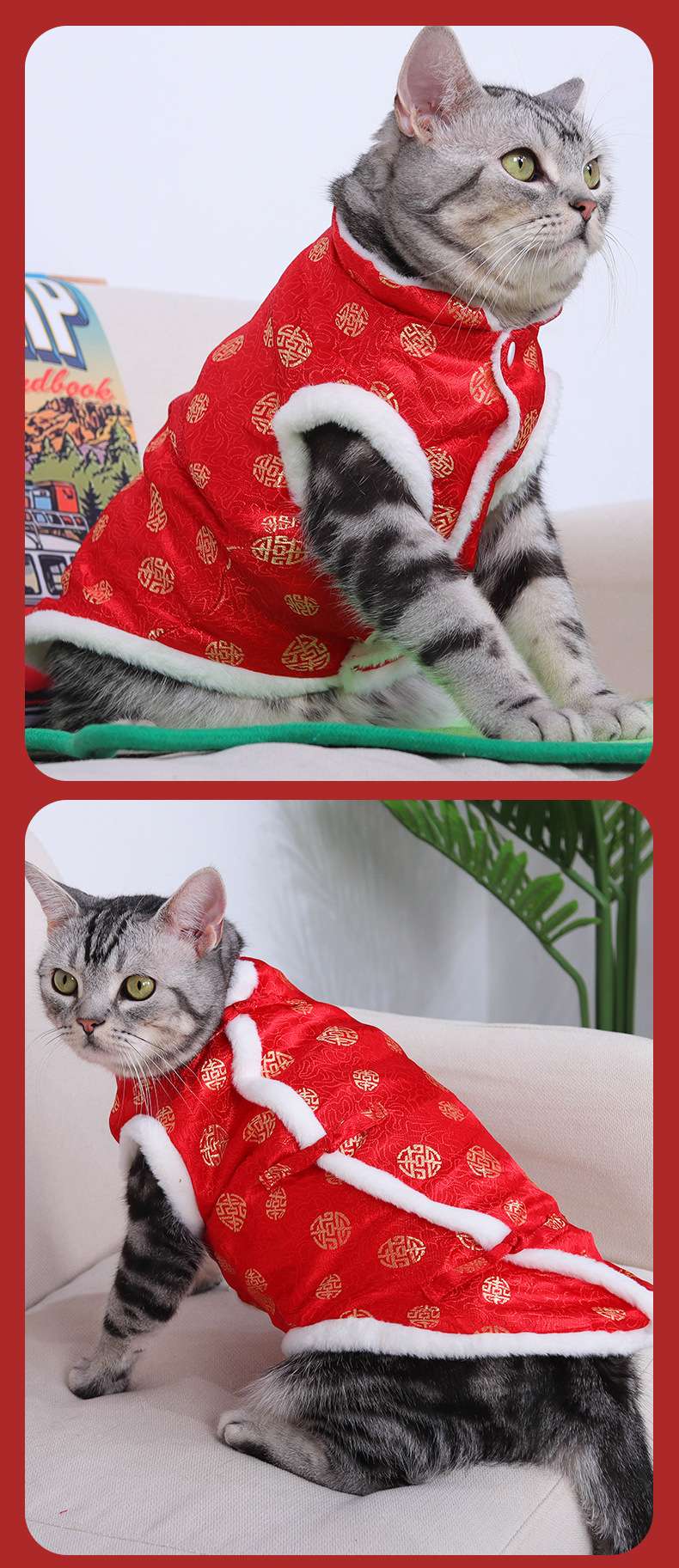 猫服  防寒服 | 福々招き猫のお正月マント