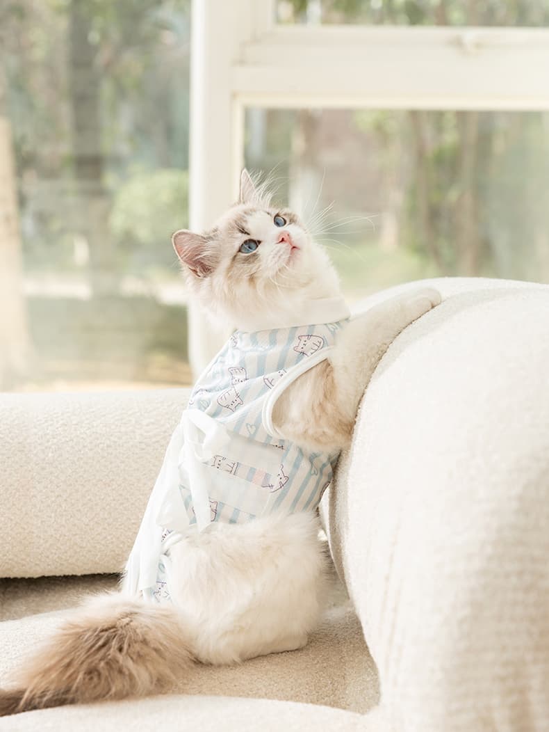猫服  やすらぎ猫ちゃん術後服