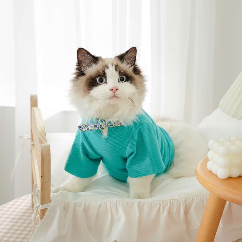 猫服  洋服 | ふわもこ猫ちゃんの季節のお洒落トップス