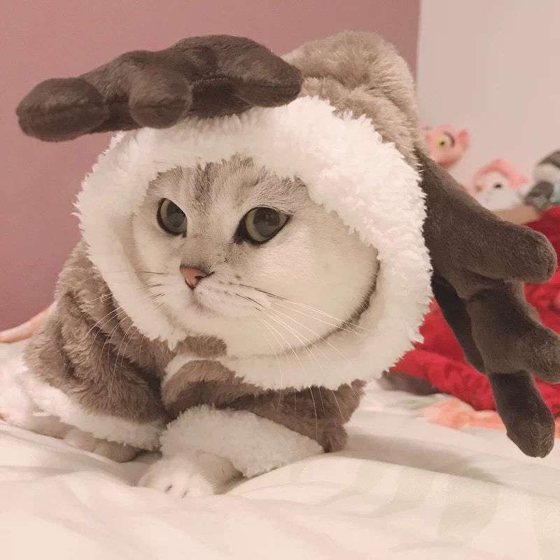 猫服  コスプレ | もこもこトナカイ変身パーカー