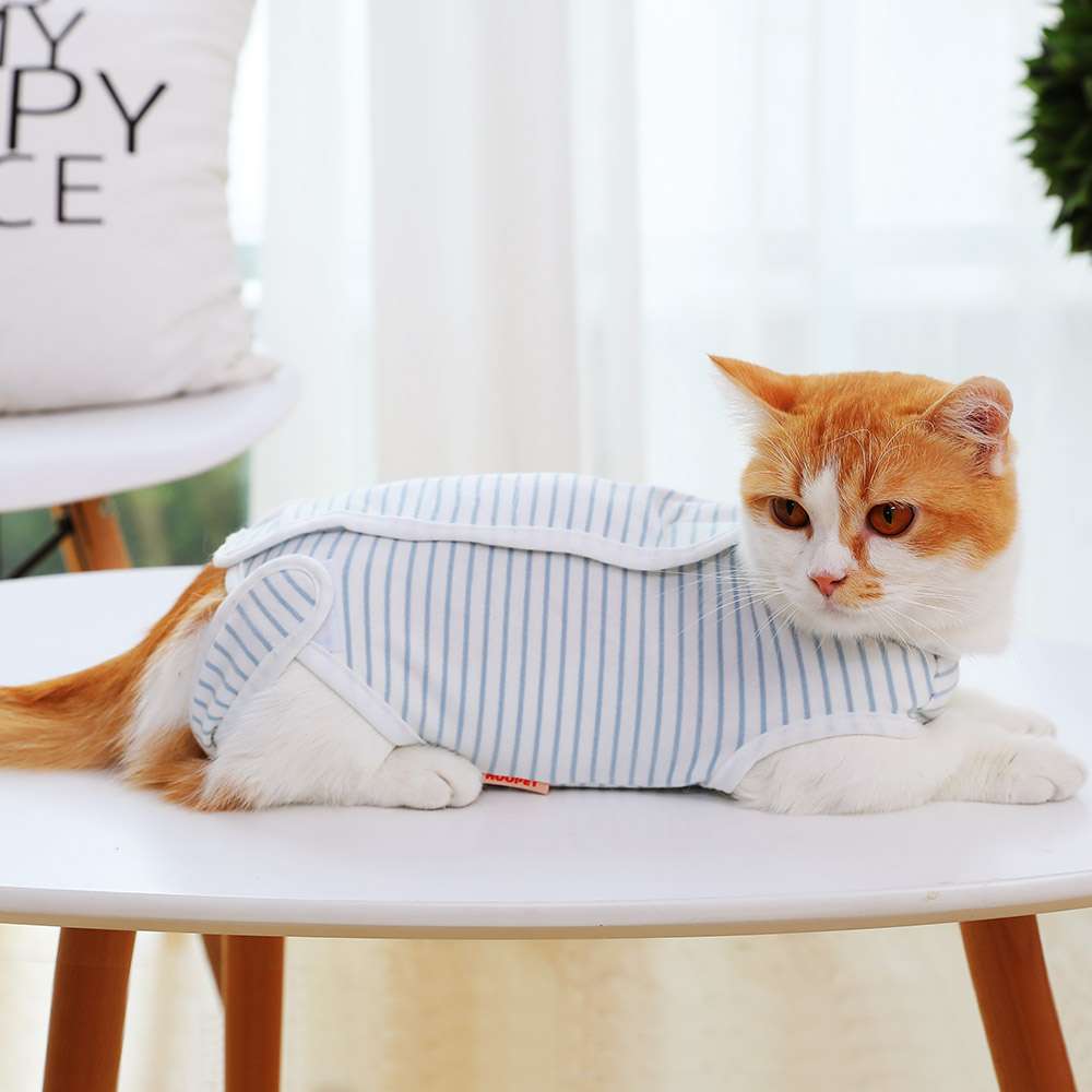猫服  術後服 | 猫用ストライプ柄術後服快適ウェア