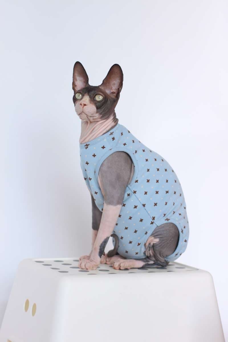 猫服  防寒服 | もこもこ猫ちゃん用着ぐるみ防寒ウェア