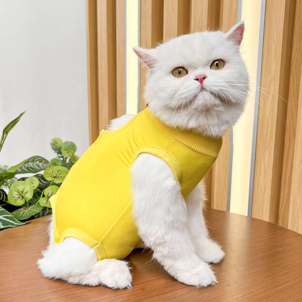 猫服  術後服 | 猫用カラフル術後服 快適ケアウェア