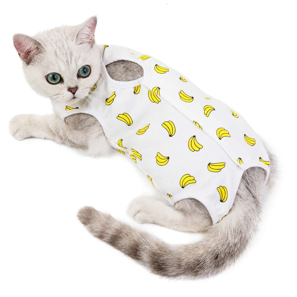 猫服  洋服 | ペット用フルーツ柄キャットウェア