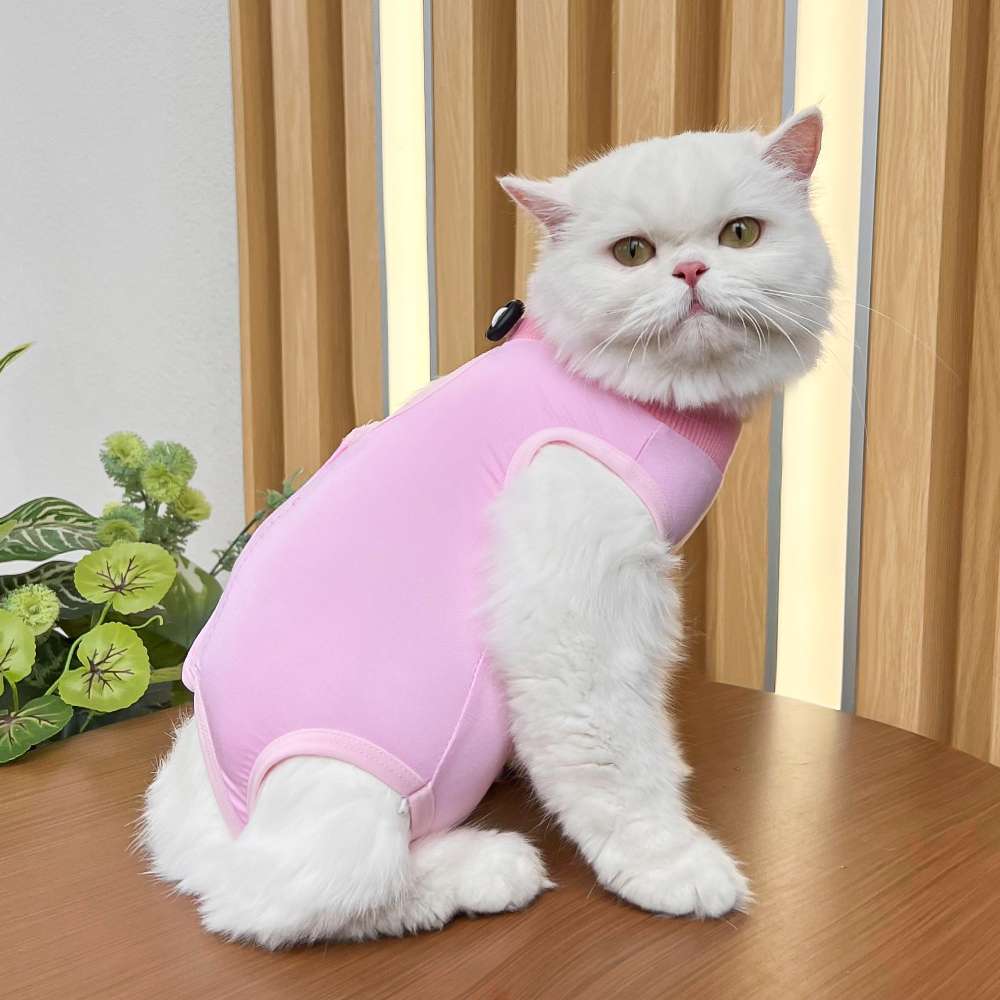 猫服  術後服 | 猫用カラフル術後服 快適ケアウェア