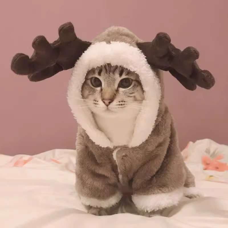猫服  コスプレ | もこもこトナカイ風猫用着ぐるみ