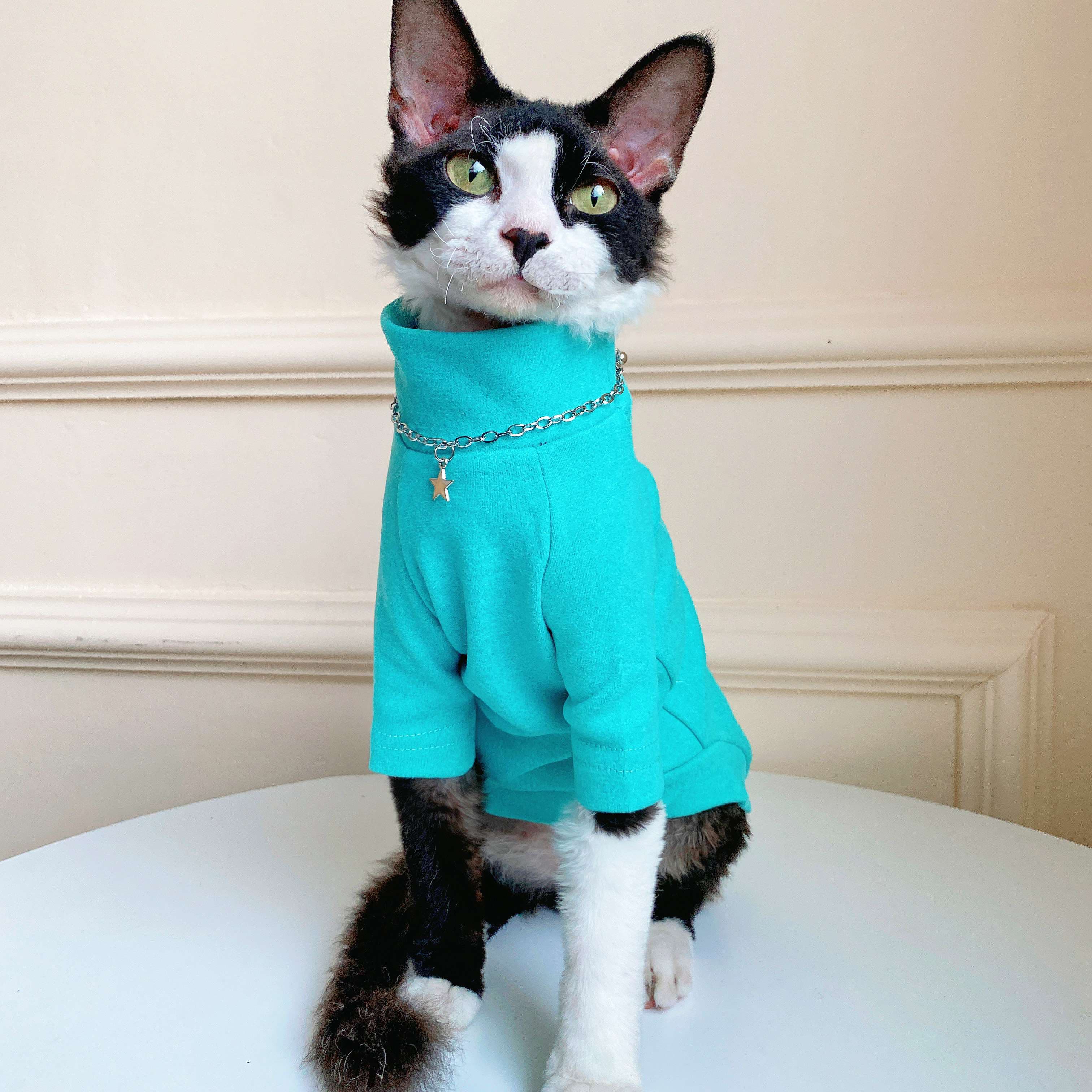 猫服  術後服 | にゃんこの優しい術後ウェア
