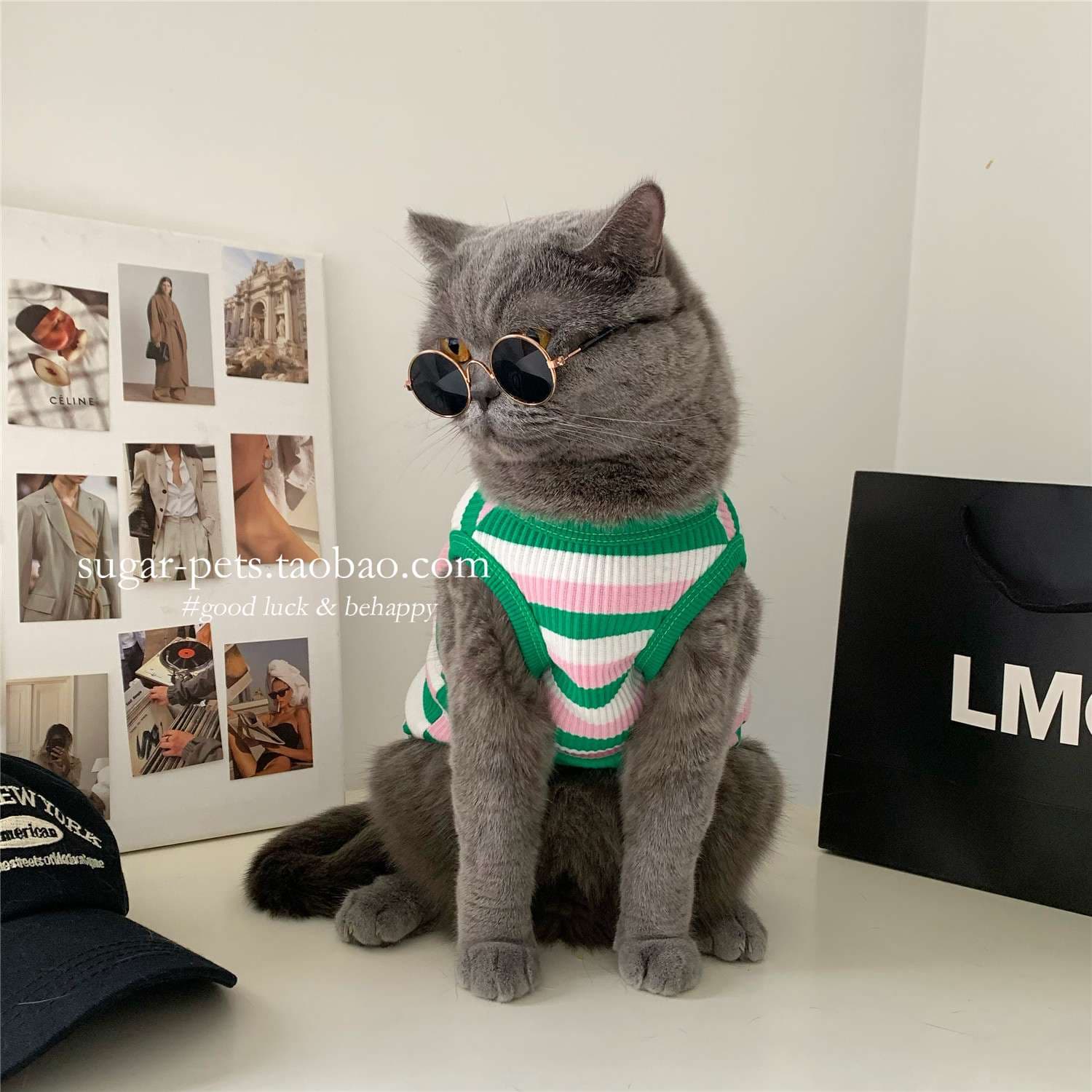 猫服  洋服 | もふもふ猫ちゃんのおしゃれボーダー
