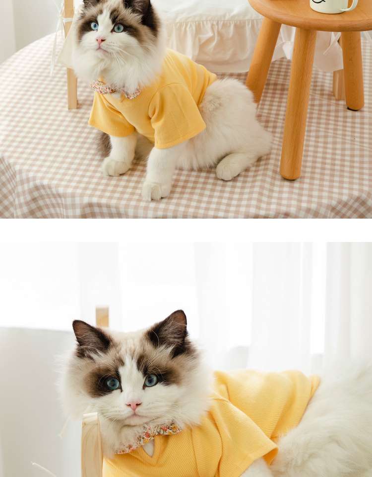 猫服  洋服 | ふわもこ猫ちゃんの季節のお洒落トップス