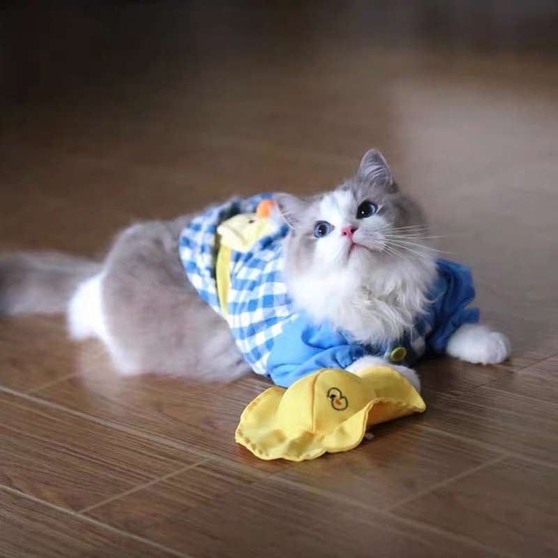 猫服  洋服 | 猫用チェック柄オーバーオール