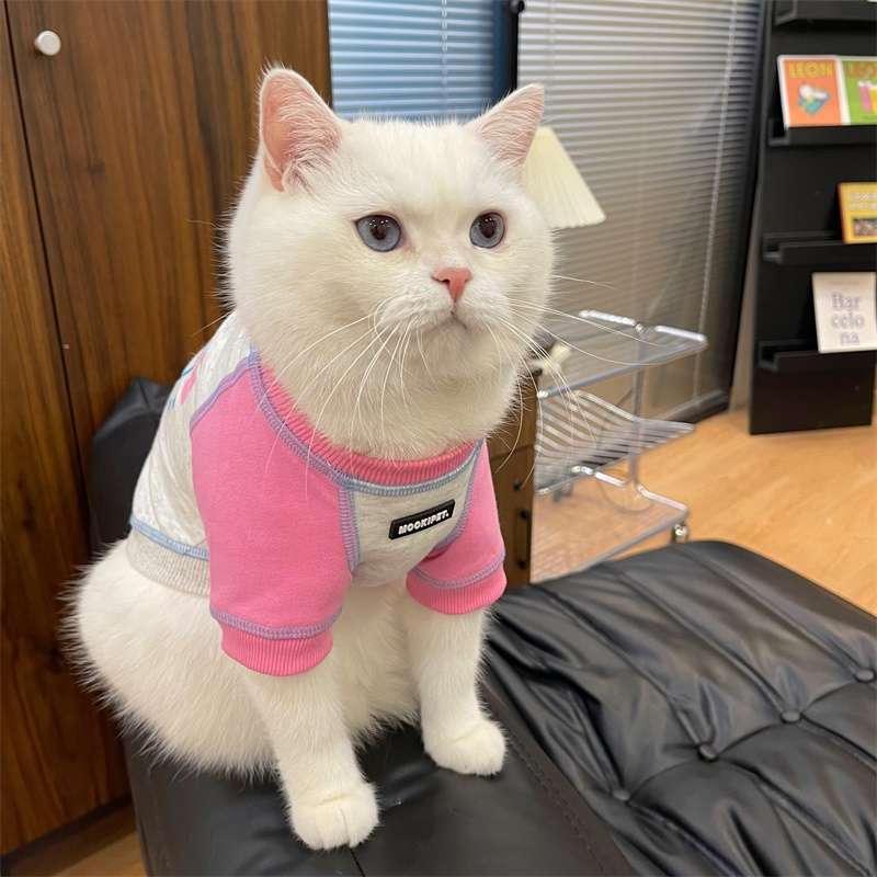 猫服  洋服 | ペット用おしゃれカジュアルウェア3点セット