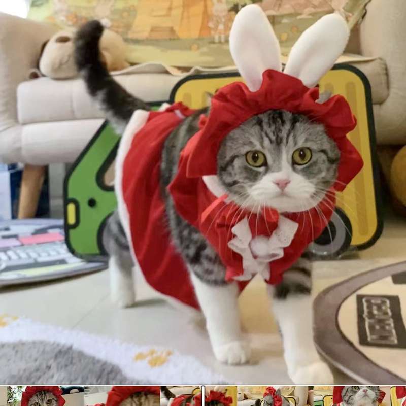 猫服  コスプレ | メイド風フリルドレス猫用コスチューム
