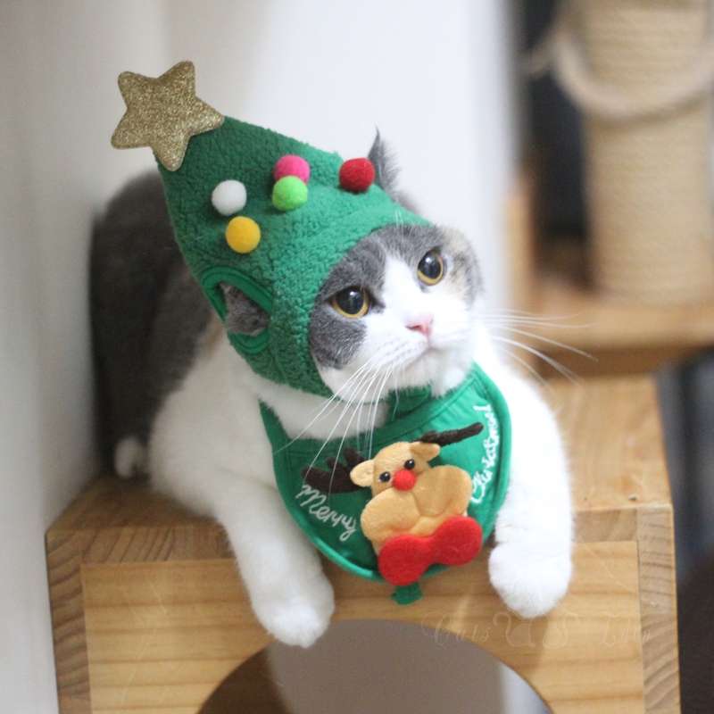 猫服  コスプレ | クリスマス猫コスチュームセット