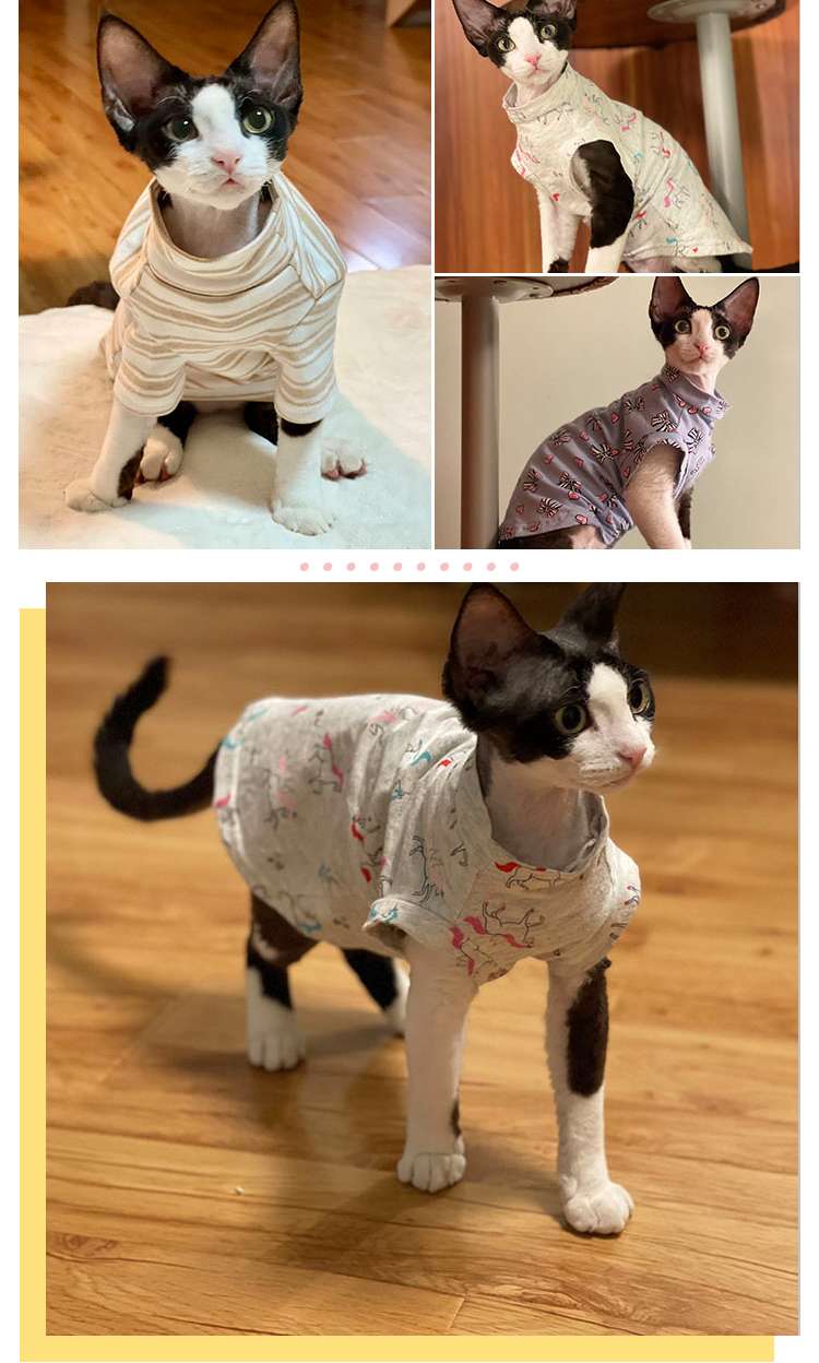 猫服  スフィンクス | スフィンクスの季節のお洒落服