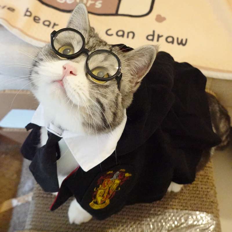 猫服  コスプレ | ビジネス猫のネクタイと帽子セット