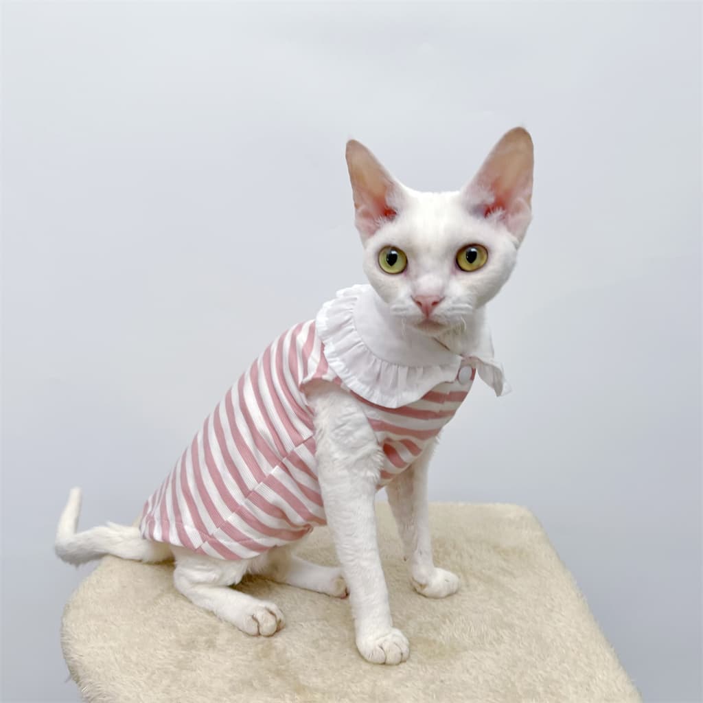 猫服  洋服 | ふんわりフリル付き縞模様ワンピース