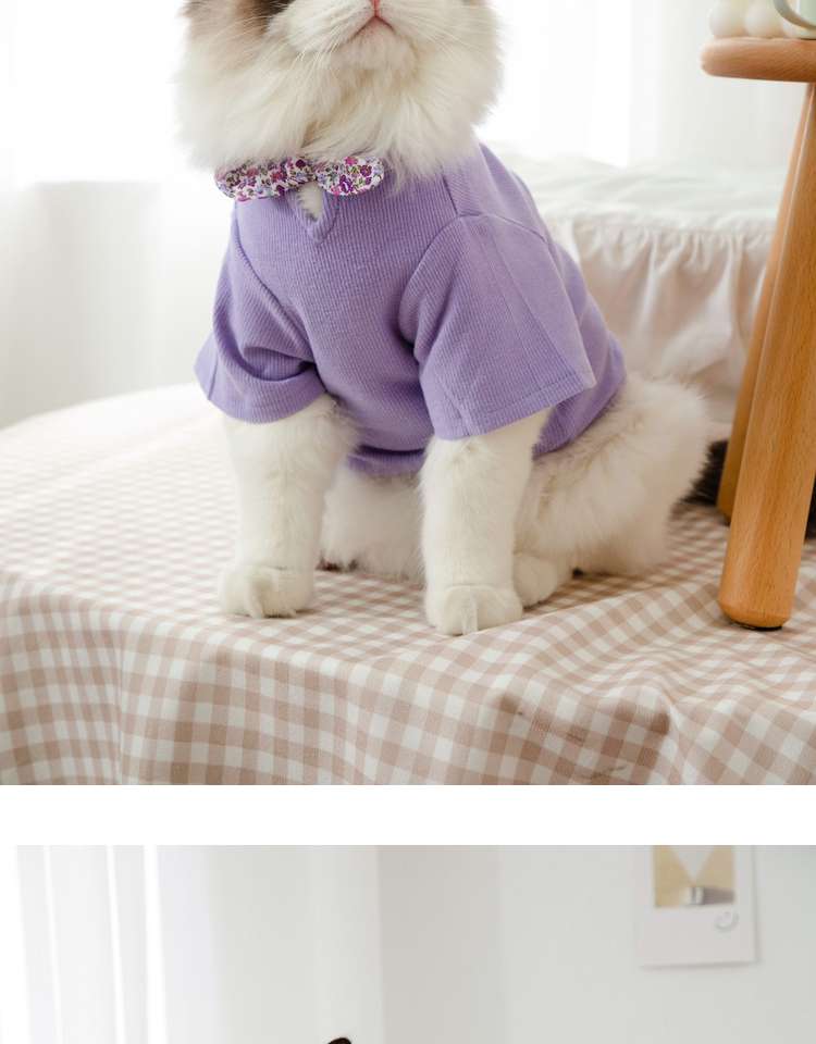猫服  洋服 | ふわもこ猫ちゃんの季節のお洒落トップス