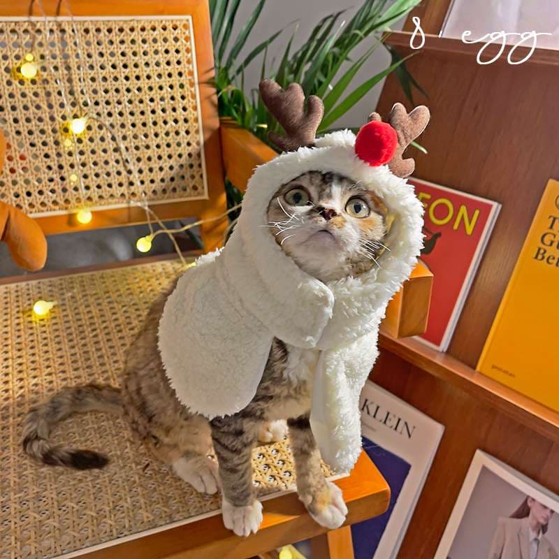 猫服  コスプレ | ペット用ホリデーコスチューム3点セット